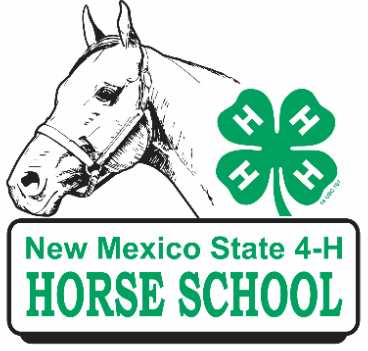 2024 Horse School Image 